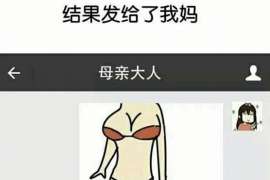 龙文私家调查