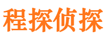 龙文侦探公司